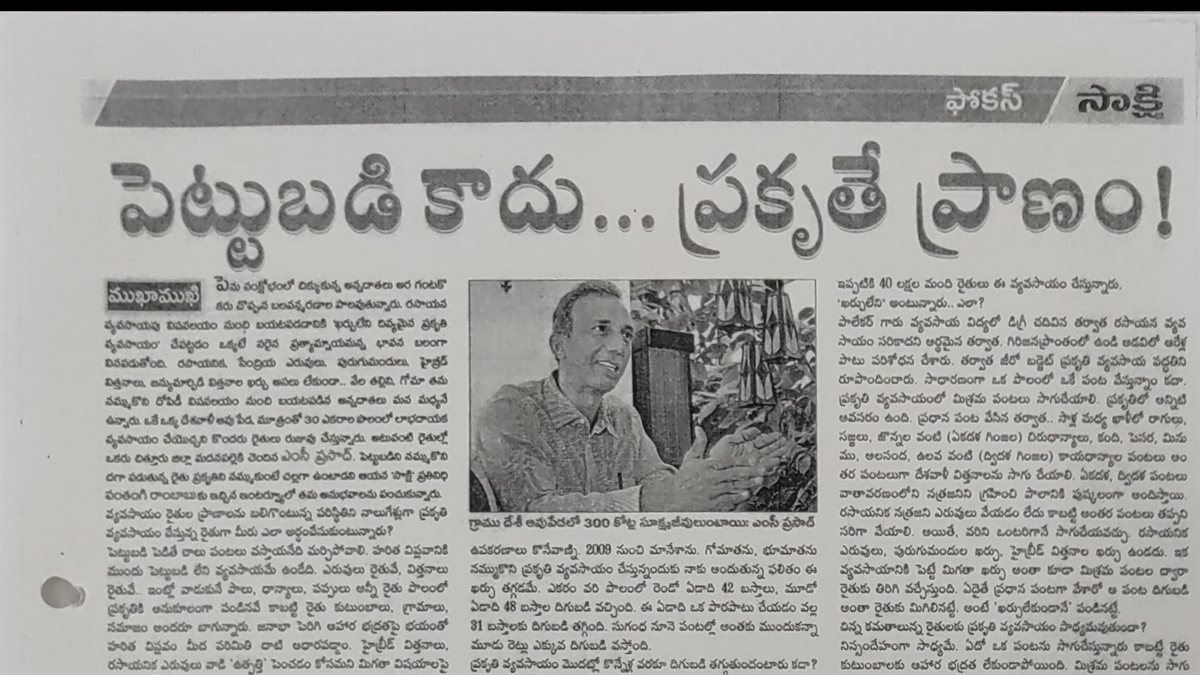 Natural Building Techniques